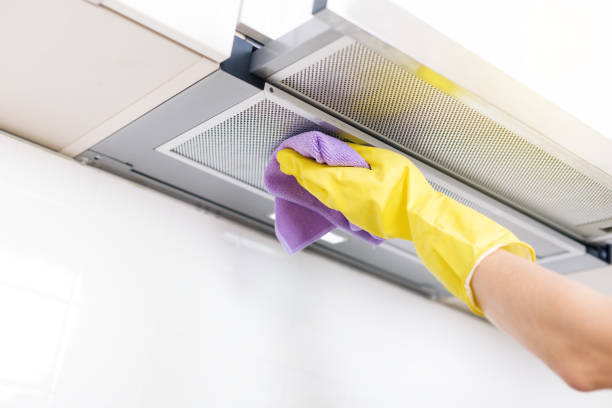 Air Duct Mold Removal in Federalsburg, MD